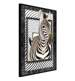 Poster in cornice con una zebra - Arredalacasa
