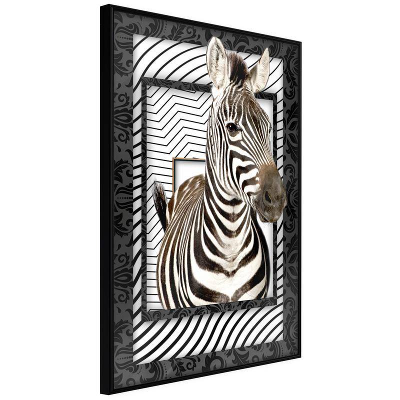 38,00 €Poster in cornice con una zebra - Arredalacasa