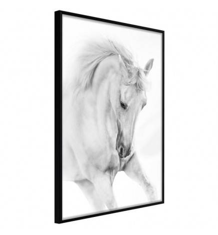 Poster valge hobusega - Arredalacasa