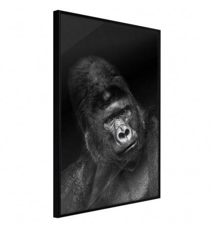 38,00 € Poster met een grote aap, Arredalacasa