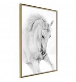 Poster met een wit paard, Arredalacasa