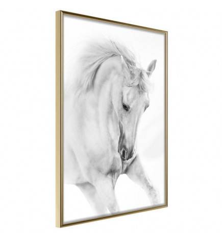 Poster in cornice con un cavallo bianco - Arredalacasa