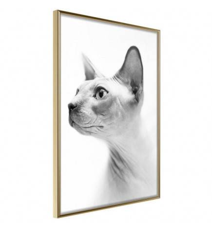 Poster in cornice con un gatto che osserva - Arredalacasa