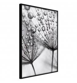 Poster in cornice con i fiori nella pioggia - Arredalacasa