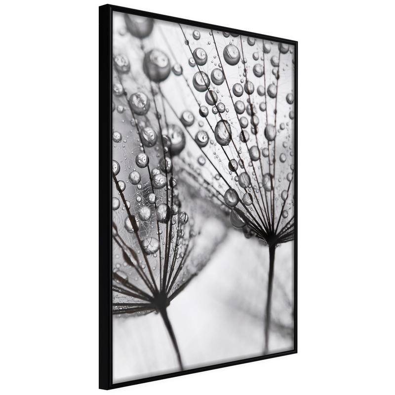 38,00 € Poster - Dew in the Macro Scale