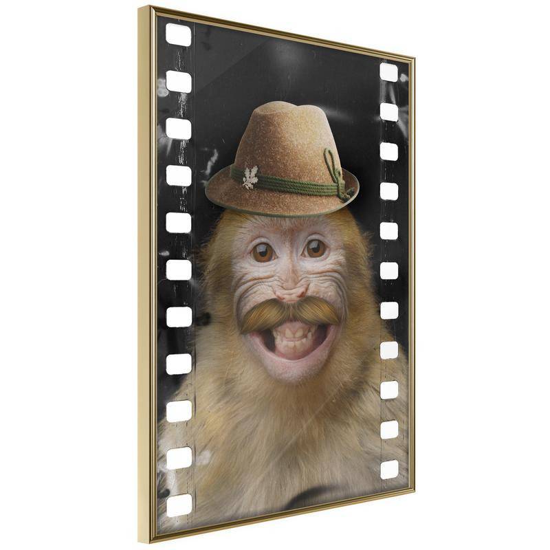 38,00 €Poster et affiche - Dressed Up Monkey