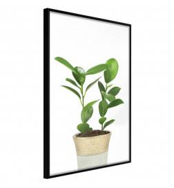 45,00 € Poster met twee groene planten, Arredalacasa