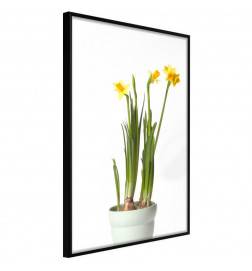 38,00 € Plakat z zelenimi rastlinami in rumenimi cvetovi - Arredalacasa
