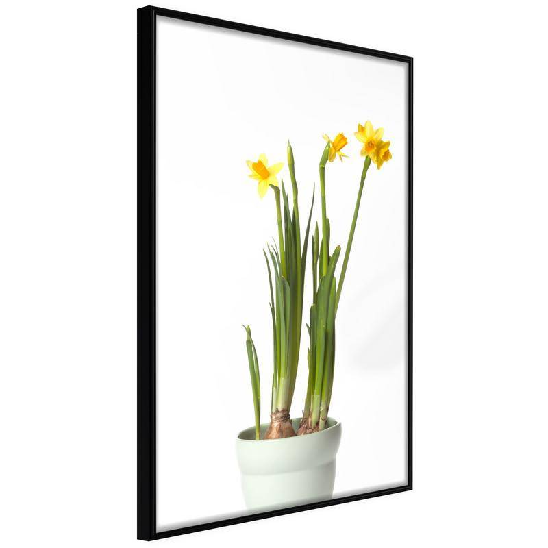 38,00 € Poster roheliste taimedega ja kollased lilled - Arredalacasa