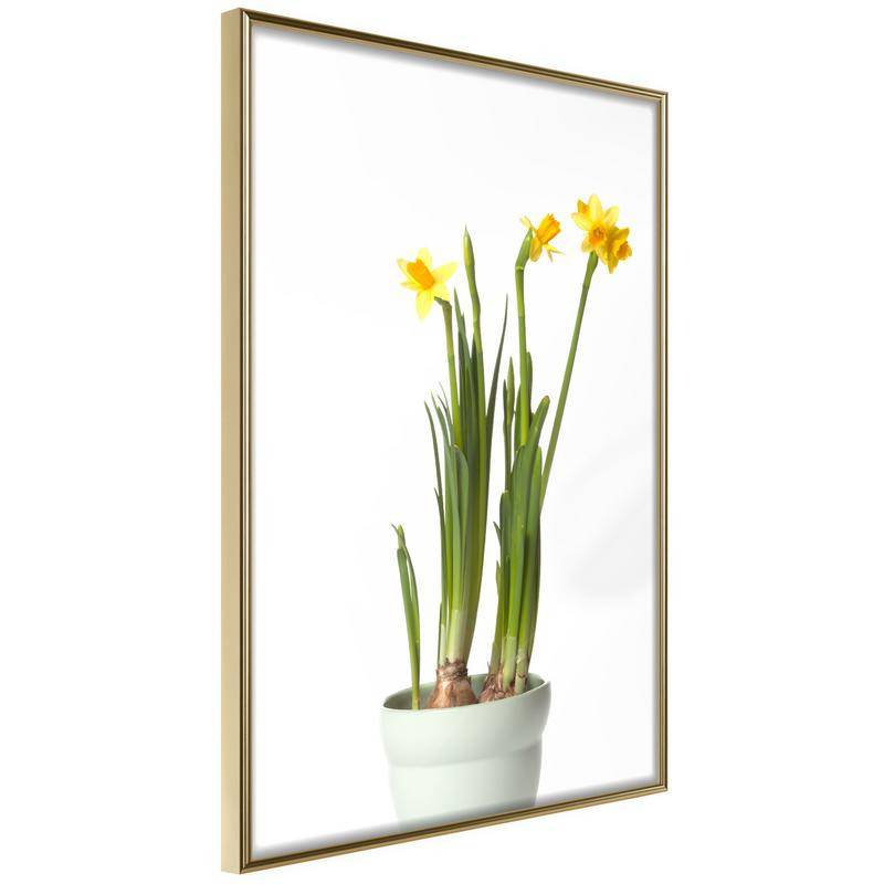38,00 € Poster roheliste taimedega ja kollased lilled - Arredalacasa