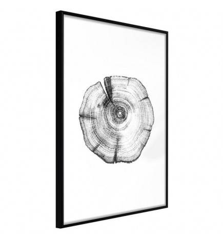 38,00 €Poster et affiche - Tree Rings