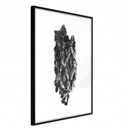 38,00 €Poster et affiche - Texture of a Tree