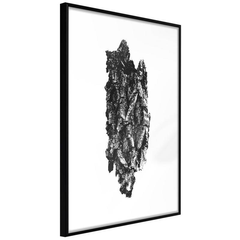 38,00 € Poster - Texture of a Tree