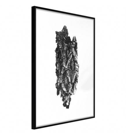 38,00 € Póster - Texture of a Tree