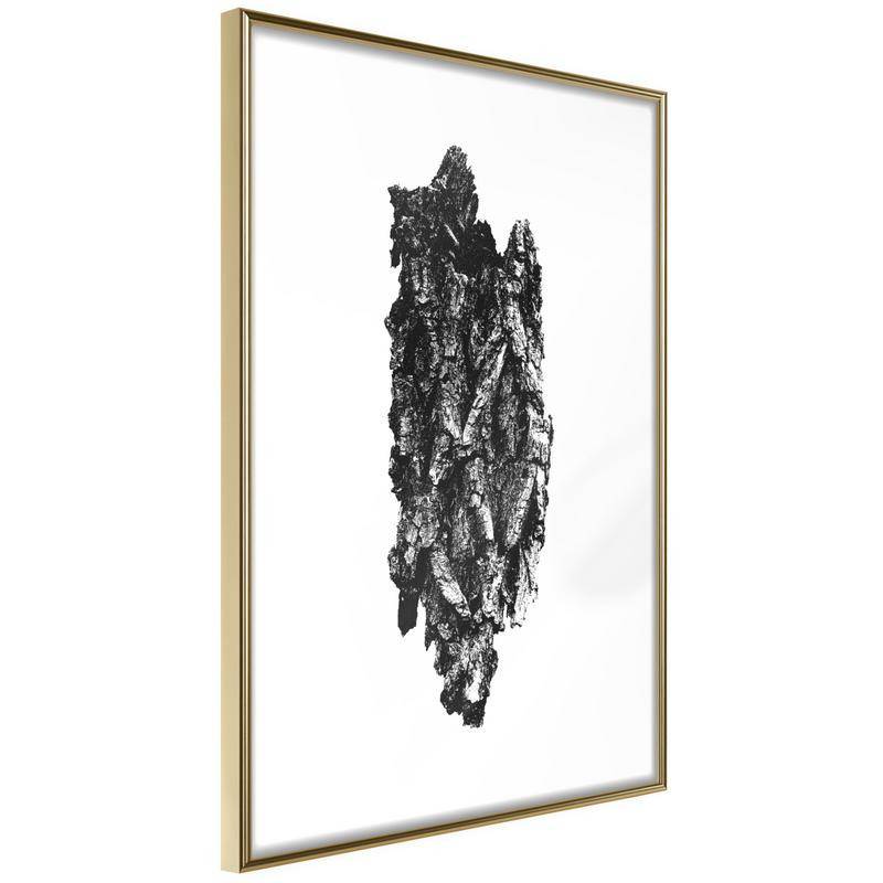 38,00 € Póster - Texture of a Tree