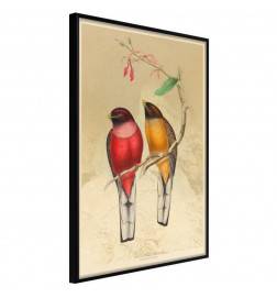 38,00 € Poster con due uccelli colorati - Arredalacasa