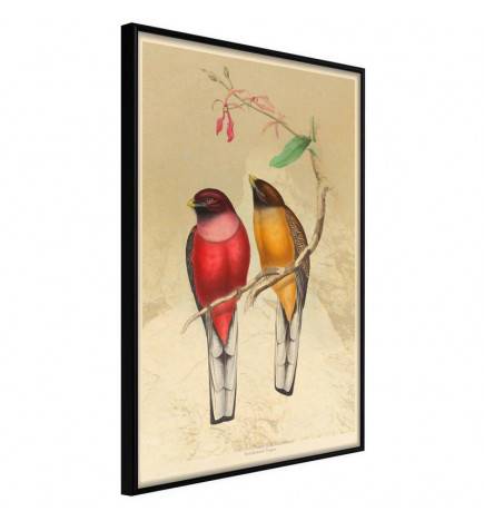 38,00 € Poster met twee kleurrijke vogels, Arredalacasa