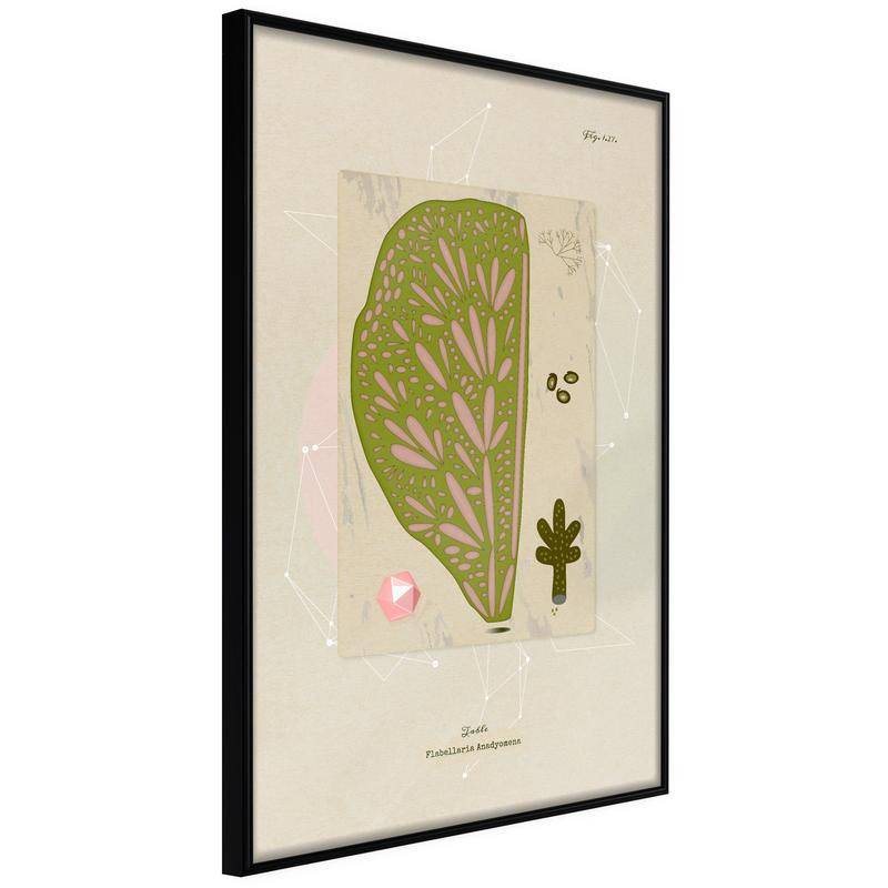 38,00 € Poster - Cross Section of a Leaf