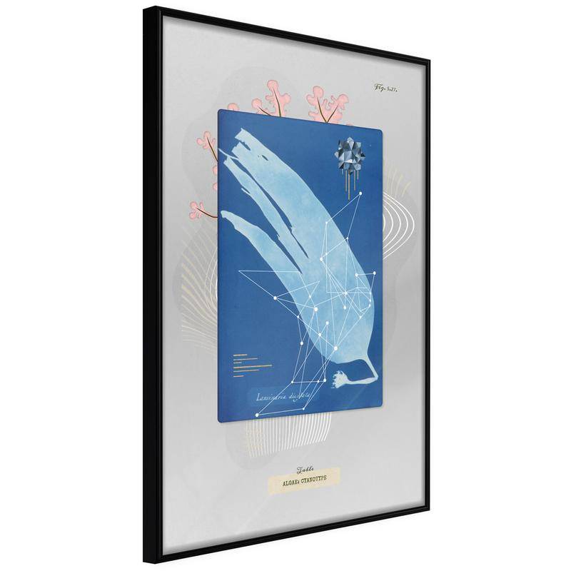 38,00 € Abstrakts ziedu un gaiši zils plakāts - Arredalacasa