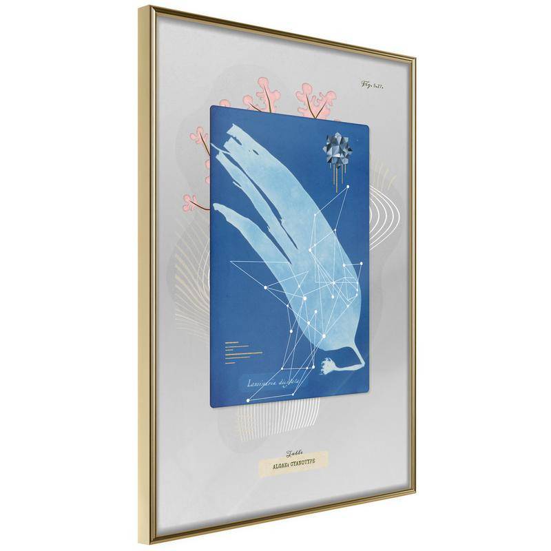 38,00 € Poster - Alga Cyanotype