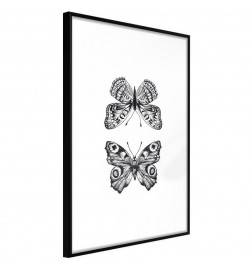 38,00 € Poster - Butterfly Collection I
