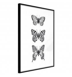 Poster et affiche - Butterfly Collection III
