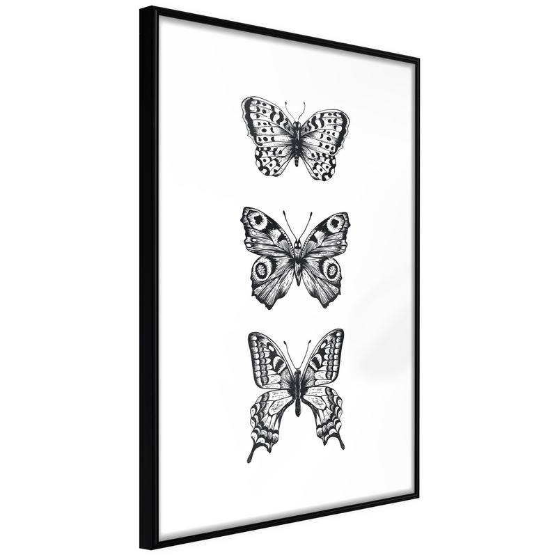 38,00 € Plakatas su trimis juodai baltais drugeliais – Arredalacasa