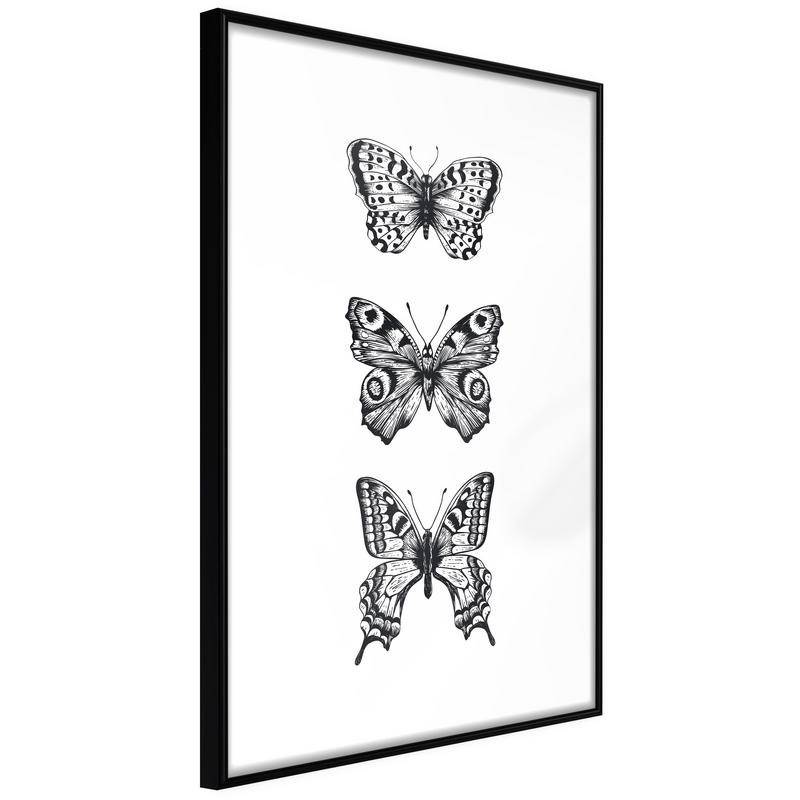 38,00 € Poster - Butterfly Collection III