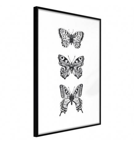 Plakatas su trimis juodai baltais drugeliais – Arredalacasa