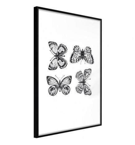 Poster in cornice con quattro farfalle in bianco e nero - Arredalacasa