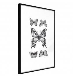 Poster et affiche - Butterfly Collection IV