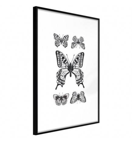 Poster in cornice con 5 farfalle in bianco e nero