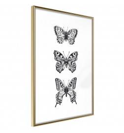 Poster et affiche - Butterfly Collection III