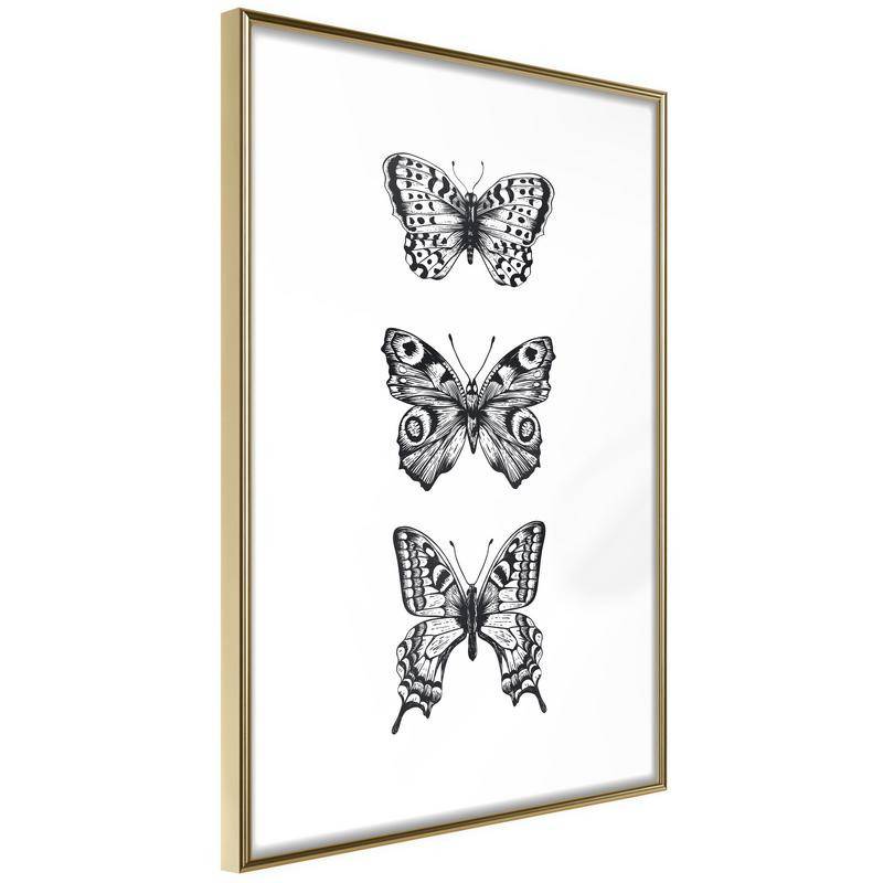 38,00 € Plakatas su trimis juodai baltais drugeliais – Arredalacasa