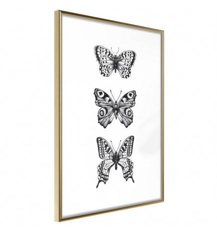 Plakat s tremi črno-belimi metulji - Arredalacasa