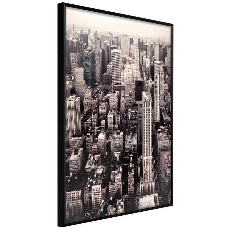 38,00 € Póster - New York from a Bird's Eye View