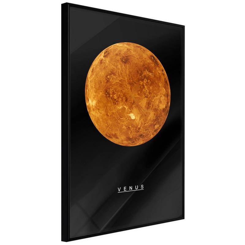 38,00 € Póster - The Solar System: Venus