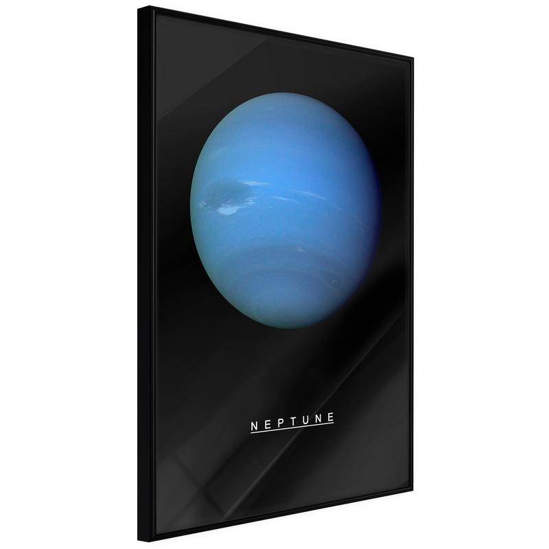 38,00 € Poster - The Solar System: Neptun