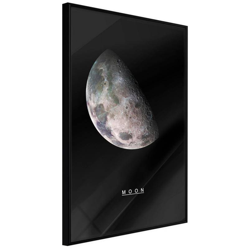 38,00 € Póster - The Solar System: Moon