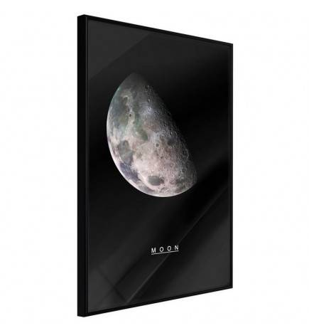 38,00 € Poster - The Solar System: Moon