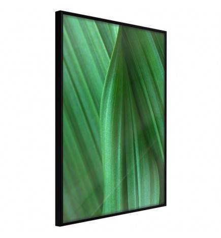 38,00 € Poster met groene bladeren