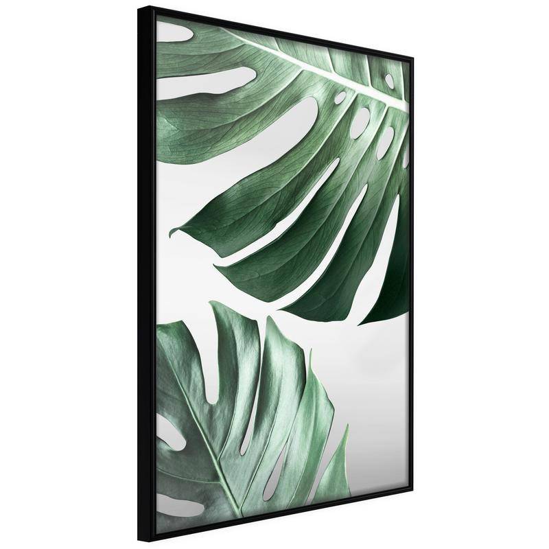 38,00 € Poster - Leaves Like Swiss Cheese