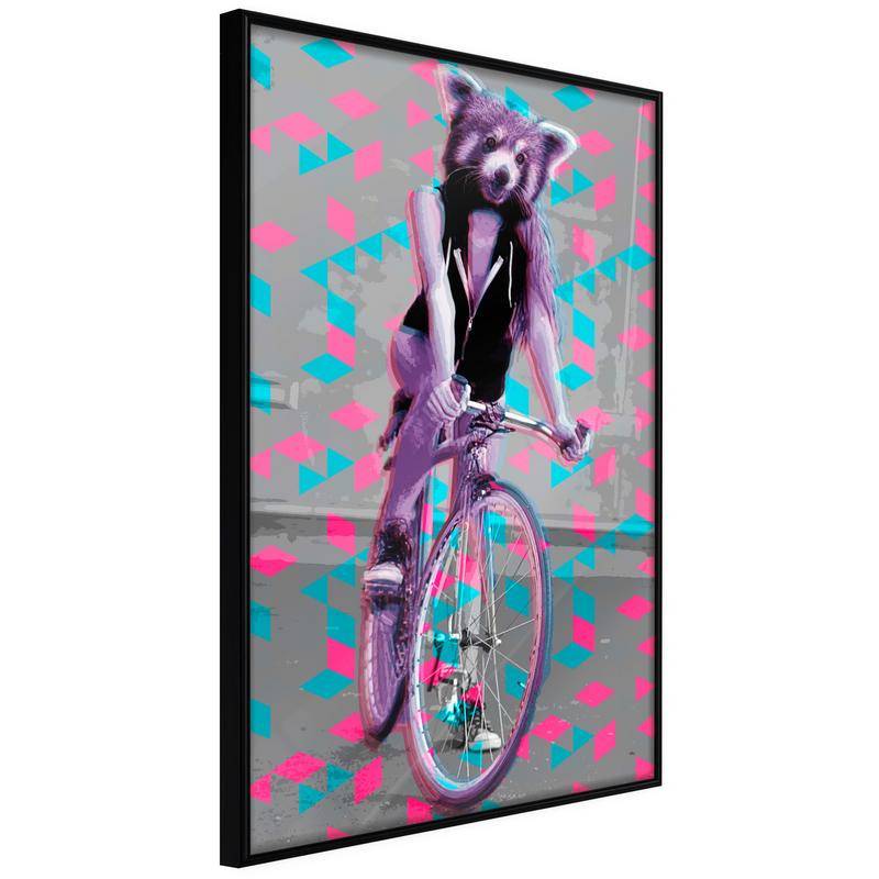 38,00 € Poster - Extraordinary Cyclist