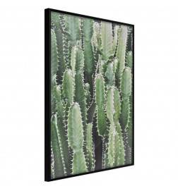 Plakat s kaktusi - Arredalacasa