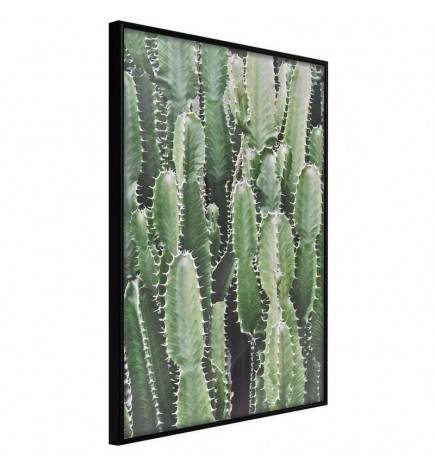 Plakāts ar kaktusiem - Arredalacasa