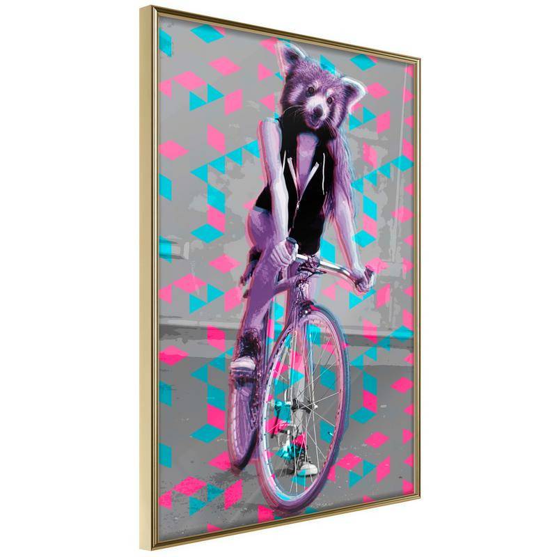 38,00 €Poster et affiche - Extraordinary Cyclist