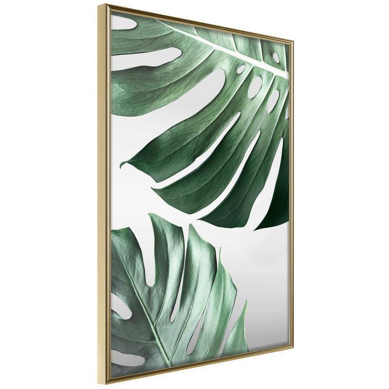 38,00 € Póster - Leaves Like Swiss Cheese