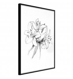 Plakat s črno-belo lilijo - Arredalacasa