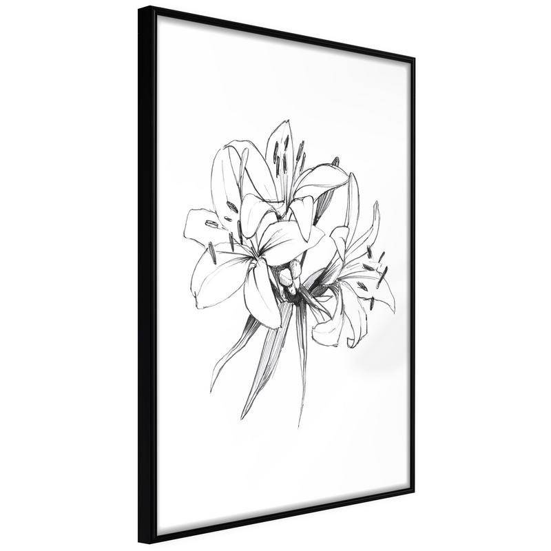 38,00 €Poster et affiche - Sketch of Lillies
