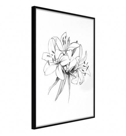 38,00 €Pôster - Sketch of Lillies